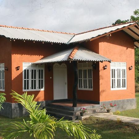 הבאראנה Ritigala Lodge מראה חיצוני תמונה
