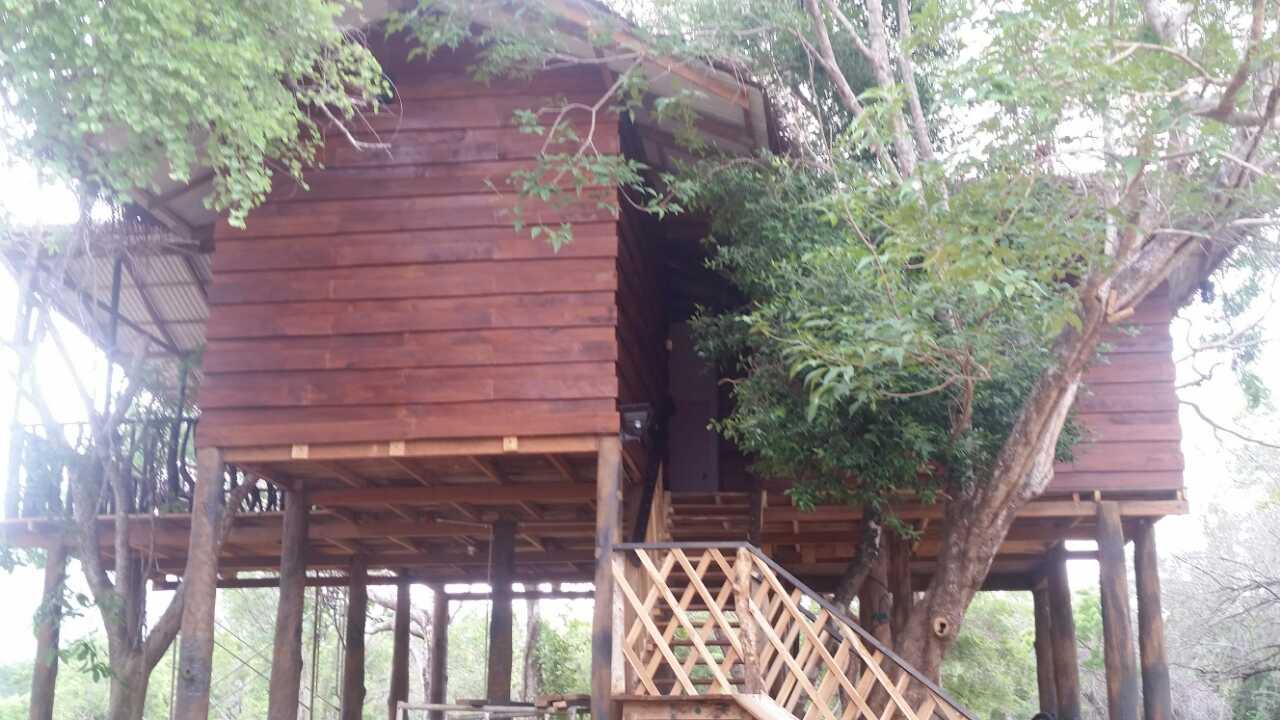 הבאראנה Ritigala Lodge מראה חיצוני תמונה