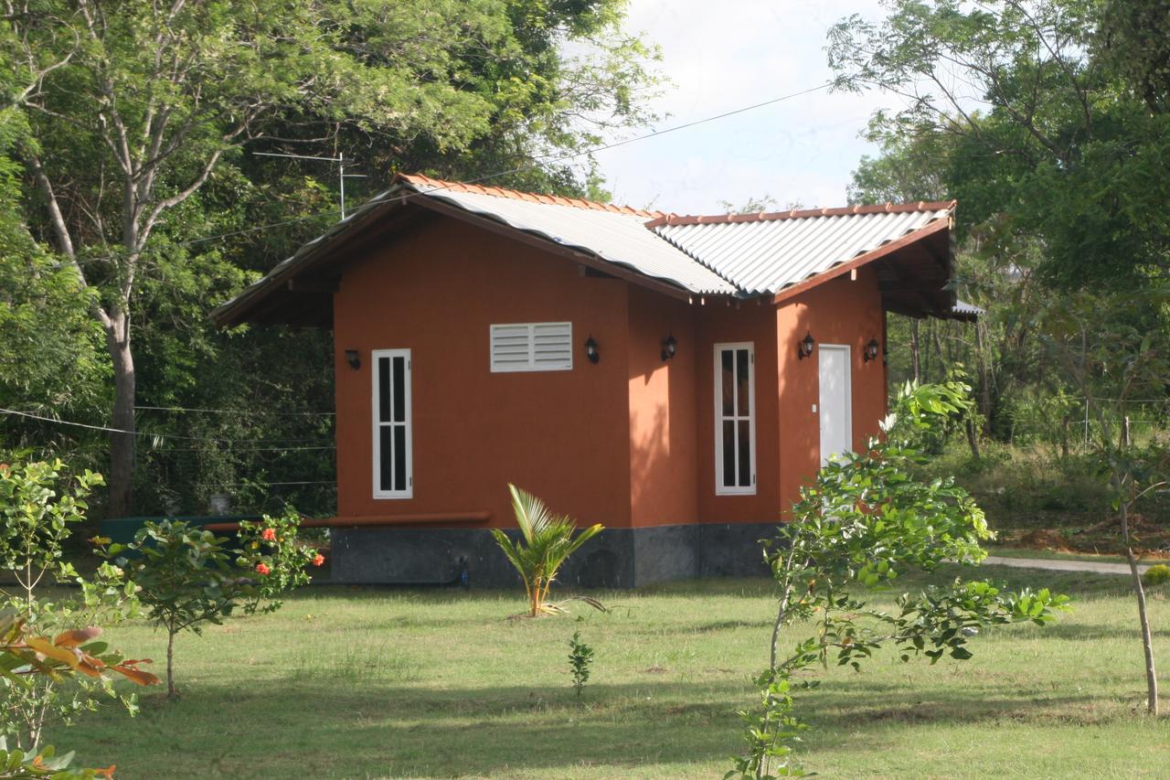 הבאראנה Ritigala Lodge מראה חיצוני תמונה