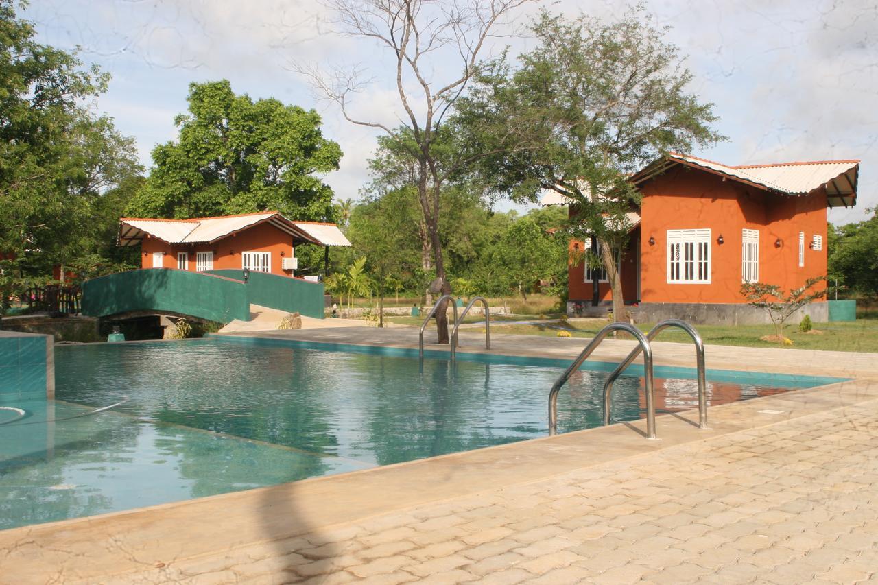 הבאראנה Ritigala Lodge מראה חיצוני תמונה